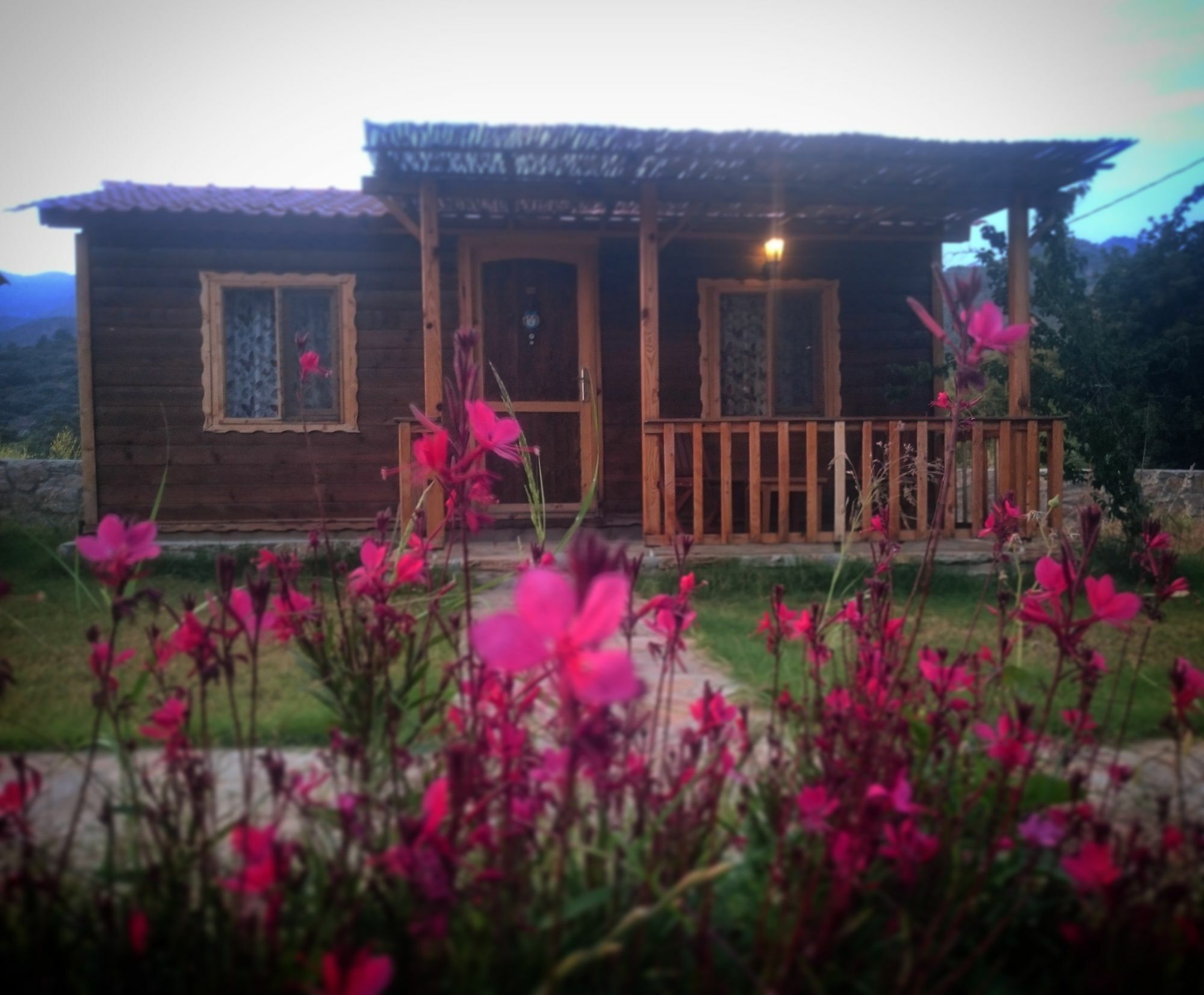 Ipekce Tatil Evleri Mesudiye  Dış mekan fotoğraf
