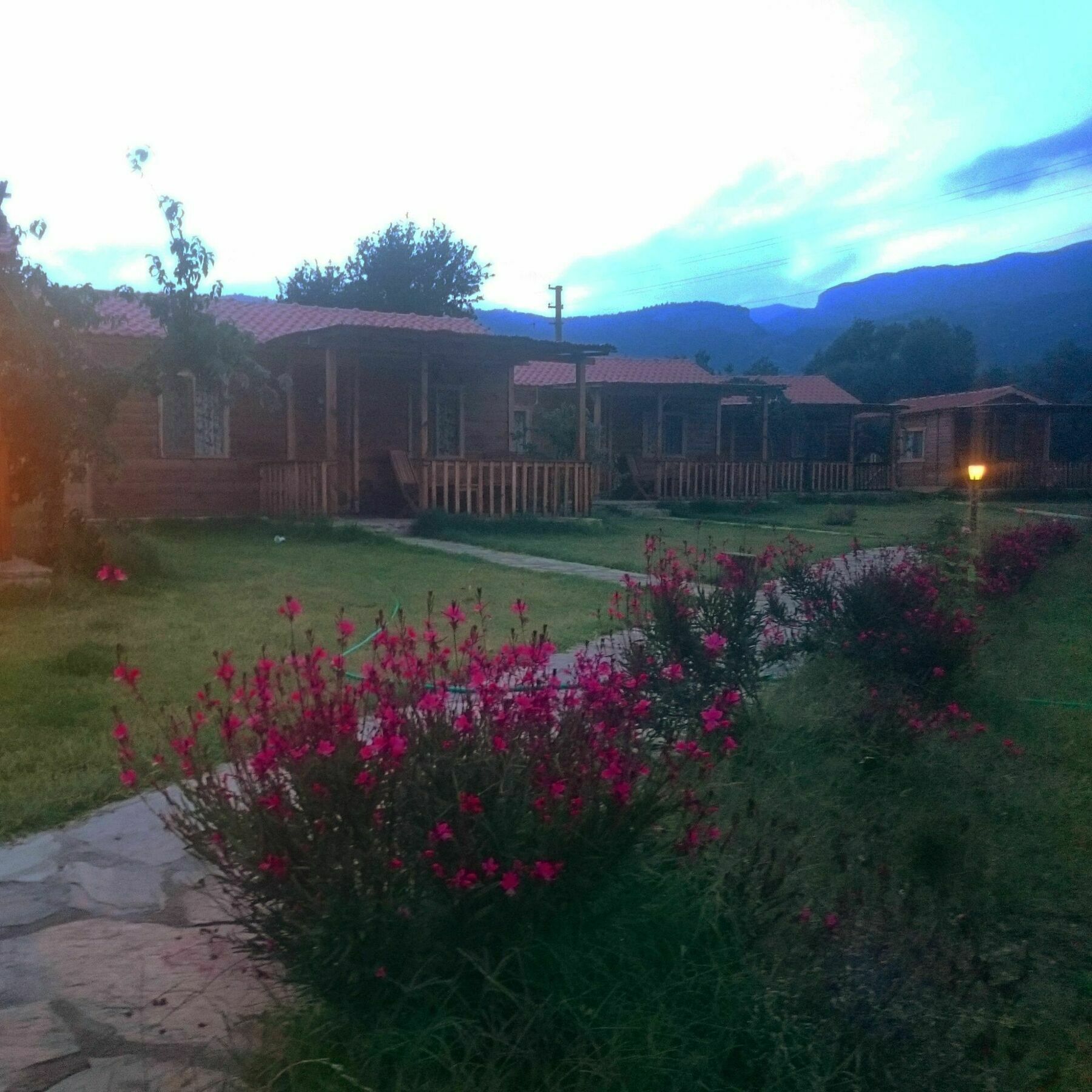 Ipekce Tatil Evleri Mesudiye  Dış mekan fotoğraf